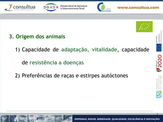 3. Origem dos animais
1) Capacidade de adaptação, vitalidade, capacidade
de resistência a doenças
2) Preferências de raças e estirpes autóctones
 