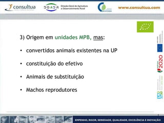 3) Origem em unidades MPB, mas:
• convertidos animais existentes na UP
• constituição do efetivo
• Animais de substituição
• Machos reprodutores
 