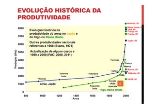 EVOLUÇÃO HISTÓRICA DA
PRODUTIVIDADE
França
México
Formosa
Ceilão
IndonésiaTailândia
Índia
Filipinas
Japão, 99
Tailândia, 99
Itália
USA
Canadá
URSS
AustráliaPaquistão
Índia
Reino Unido, 99
França, 99
URSS, 99
0
1000
2000
3000
4000
5000
6000
7000
8000
800 1000 1200 1400 1600 1800 2000
Anos
Produção(t/ha)
Arroz, Japão
Trigo, Reino Unido
Evolução histórica da
produtividade do arroz no Japão e
do trigo no Reino Unido.
Outras produtividades nacionais
referentes a 1968 (Evans, 1975)
França, 09
USA, 09
Holanda, 09
Rússia, 09
Actualização de alguns casos a
1999 e 2009 (FAO, 2000, 2011)
ñ
 
