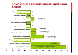 COMO É QUE A PRODUTIVIDADE AUMENTOU
ASSIM?
58
47
21
8
8
5
-23
-8
-7
-8
-28
-40 -30 -20 -10 0 10 20 30 40 50 60 70
Introdução de cultivares melhoradas
Acréscimo de aplicação de fertilizantes comerciais
Redução da aplicação de estrumes e matéria orgânica
Aumento do controlo de doenças e paragas
Melhoria da determinação da data de sementeira
Melhoria do arranjo espacial das plantas
Agravamento dos problemas de erosão
Alteração de sequências culturais (Intensificação)
Acréscimo de mecanização da cultura
Aparecimento de novas doenças e pragas
Outros factores negativos não identificados
Genética e Melhoramento
Química
Fitopatologia
Fisiologia
Climatologia
Mecânica
 