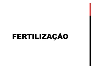 FERTILIZAÇÃO
 