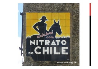 Nitrato do Chile| 20
 