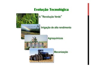 Evolução Tecnológica
A “Revolução Verde”
Irrigação de alto rendimento
Agroquímicos
Mecanização
 