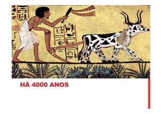 HÁ 4000 ANOS
 