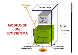 MODELO DE
UM
ECOSSISTEMA
Produtores
Consumidores
Decompositores
Reserva
de
nutrientes
Espaço físico
Calor
Para outros
ecossistemas
De outros
ecossistemas
Radiação
solar
Energia
Nutrientes
 