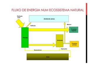 FLUXO DE ENERGIA NUM ECOSSISTEMA NATURAL
Solo
Ambiente aéreo
Animais
Senescência
Produtos
vegetais
Produtos
animais
Plantas
Dejecções
Radiação
solar
Reflexão
Metano
 