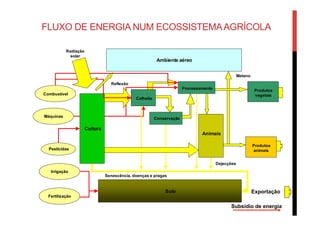 FLUXO DE ENERGIA NUM ECOSSISTEMAAGRÍCOLA
Combustível
Solo
Ambiente aéreo
Animais
Senescência, doenças e pragas
Produtos
vegetais
Produtos
animais
Cultura
Dejecções
Radiação
solar
Reflexão
Metano
Processamento
Conservação
Colheita
Máquinas
Pesticidas
Irrigação
Fertilização
Subsídio de energia
Exportação
 