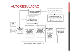 Solo
nu
Estádios
pioneiros
Ambiente
mais
estável
Menor quantidade
de energia
requerida para
regulação e
adptação a um
ambiente instável
Mais energia
disponível para
suporte da
biomassa; >
eﬁciência de
transferência de
energia
Mais espécies;
cadeias
tróﬁcas mais
compridas;
comunidades
mais
complexas;
melhor
regulação
interna.
Aumento da
especialização
das espécies
Extinção de
populações
sobregeneralizadas
dos estádios iniciais
Sobreespecialização de
espécies; estabelecimento de
populações demasiado
pequenas na comunidade
Diminuição da eﬁciência de
mecanismos de auto-regulação
Extinção de populações
sobrespecializadas
Maior capacidade de auto-regulação
AUTOREGULAÇÃO
 