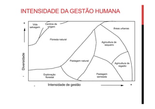 Floresta natural
Centros de
origem
Pastagem natural
Exploração
florestal
Pastagem
semeada
Agricultura de
sequeiro
Agricultura de
regadio
Áreas urbanas
Vida
selvagem
Intensidade de gestão- +
-
+Diversidade
INTENSIDADE DA GESTÃO HUMANA
 