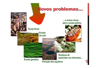 Poluição dos aquíferos
Erosão
do solo
Erosão genética
Resíduos de
pesticidas nos alimentos...
Êxodo Rural
… e outros riscos
para a saúde pública
45
Novos problemas…
 