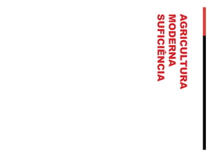 AGRICULTURA
MODERNA
SUFICIÊNCIA
 