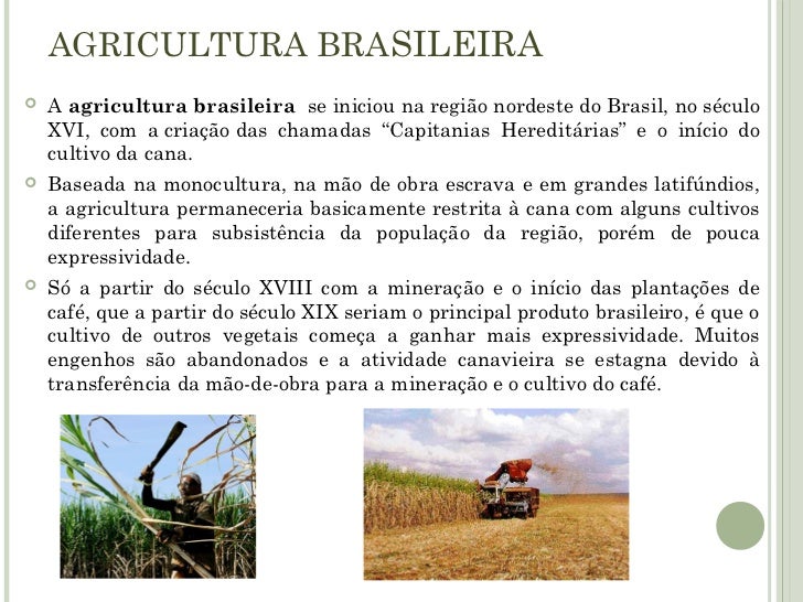 Como divulgar sua empresa no Google? Como divulgar sua empresa no Google?