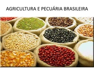 AGRICULTURA E PECUÁRIA BRASILEIRA
 