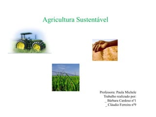 Agricultura Sustentável Professora: Paula Michele Trabalho realizado por: _ Bárbara Cardoso nº1 _ CláudioFerreira nº9 