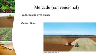 Mercado (convencional)
• Produção em larga escala
• Monocultura
Fonte: exame.abril.com.br/
 