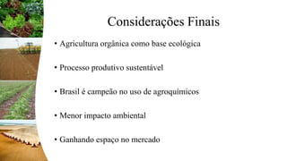 Considerações Finais
• Agricultura orgânica como base ecológica
• Processo produtivo sustentável
• Brasil é campeão no uso de agroquímicos
• Menor impacto ambiental
• Ganhando espaço no mercado
 