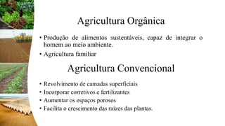Agricultura Orgânica
• Produção de alimentos sustentáveis, capaz de integrar o
homem ao meio ambiente.
• Agricultura familiar
Agricultura Convencional
• Revolvimento de camadas superficiais
• Incorporar corretivos e fertilizantes
• Aumentar os espaços porosos
• Facilita o crescimento das raízes das plantas.
 