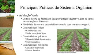 Principais Práticas do Sistema Orgânico
• Adubação Verde
• Cultivo e corte de plantas em qualquer estágio vegetativo, com ou sem a
incorporação da fitomassa;
• Finalidade de elevar a produtividade do solo com sua massa vegetal.
• Características físicas
Cobertura do solo
Maior retenção de água
• Características químicas
Disponibilidade de nutrientes
Matéria orgânica
• Características biológicas
Atividade microbiana
Plantas daninhas
Fonte: agencia.cnptia.embrapa.br
 