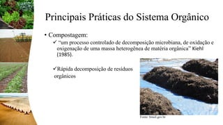 Principais Práticas do Sistema Orgânico
• Compostagem:
 “um processo controlado de decomposição microbiana, de oxidação e
oxigenação de uma massa heterogênea de matéria orgânica” Kiehl
(1985).
Rápida decomposição de resíduos
orgânicos
Fonte: brasil.gov.br
 