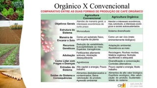 Orgânico X Convencional
 