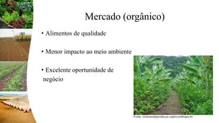 Mercado (orgânico)
• Alimentos de qualidade
• Menor impacto ao meio ambiente
• Excelente oportunidade de
negócio
Fonte: sistemasdeproducao.cnptia.embrapa.br/
 
