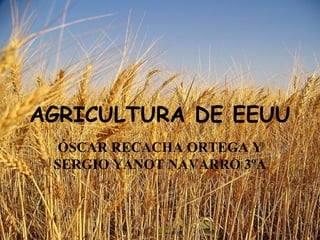 AGRICULTURA DE EEUU
 ÓSCAR RECACHA ORTEGA Y
 SERGIO YANOT NAVARRO 3ºA
 