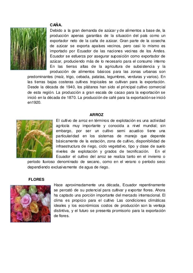 Agricultura De La Costa Ecuatoriana