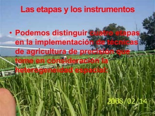 Importancia de la agricultura de precisiónLa agricultura de precisión tiene como objeto optimizar la gestión de una parcela desde el punto de vistaAgronómica : ajuste de las prácticas de cultivo a las necesidades de la planta (ej. satisfacción de las necesidades de nitrógeno).