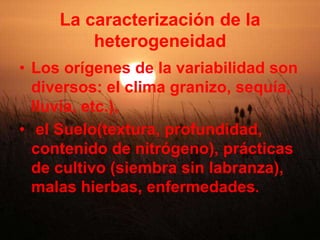 Geolocalización de la informaciónLa geolocalización de la parcela permite superponer sobre esta última las informaciones disponibles: análisis del suelo, análisis de los restos nitrogenados, cultivos anteriores, se efectúa de dos formas