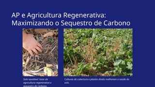 AP e Agricultura Regenerativa:
Maximizando o Sequestro de Carbono
Solo saudável: base da
agricultura regenerativa e
sequestro de carbono.
Culturas de cobertura e plantio direto melhoram a saúde do
solo.
 