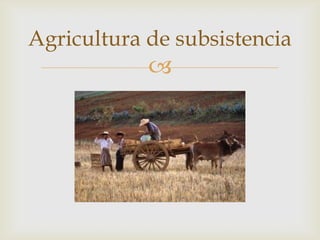 Agricultura de subsistencia
            
 