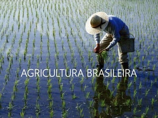 AGRICULTURA BRASILEIRA
 