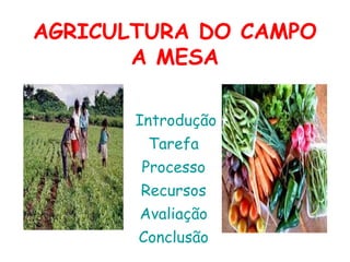 AGRICULTURA DO CAMPO
       A MESA

       Introdução
        Tarefa
       Processo
       Recursos
       Avaliação
       Conclusão
 
