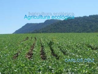 Agricultura ecológica Carlos Díaz 