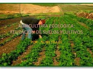 AGRICULTURA ECOLOGICA:
FELIZACION DE SUELOS YCULTIVOS
        POR : NURY FRAILE
 