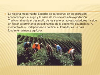    La historia moderna del Ecuador se caracteriza en su expresión
    económica por el auge y la crisis de los sectores de exportación.
    Tradicionalmente el desarrollo de los sectores agroexportadores ha sido
    un factor determinante en la dinámica de la economía ecuatoriana. Al
    momento de su independencia política, el Ecuador es un país
    fundamentalmente agrícola.
 