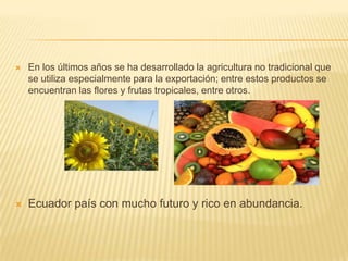    En los últimos años se ha desarrollado la agricultura no tradicional que
    se utiliza especialmente para la exportación; entre estos productos se
    encuentran las flores y frutas tropicales, entre otros.




   Ecuador país con mucho futuro y rico en abundancia.
 
