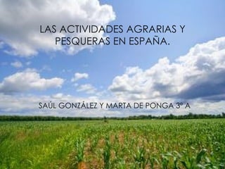 LAS ACTIVIDADES AGRARIAS Y
   PESQUERAS EN ESPAÑA.




SAÚL GONZÁLEZ Y MARTA DE PONGA 3º A
 