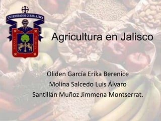Agricultura en Jalisco Oliden García Erika Berenice Molina Salcedo Luis Álvaro  Santillán Muñoz Jimmena Montserrat. 