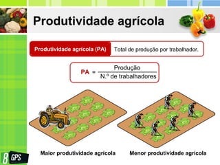 Produtividade agrícola
Produtividade agrícola (PA) Total de produção por trabalhador.
PA =
Produção
N.º de trabalhadores
Maior produtividade agrícola Menor produtividade agrícola
 