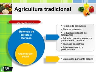 Sistemas de
cultura e
técnicas
Agricultura tradicional
Característic
as • Regime de policultura
• Sistema extensivo
• Reduzida utilização de
fertilizantes
• Falta de conhecimentos por
parte da mão de obra
• Técnicas ancestrais
• Baixo rendimento e
produtividade
• Exploração por conta própria
Organização
social
 