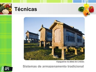 Técnicas
Sistemas de armazenamento tradicional
Espigueiros na aldeia do Lindoso.
 