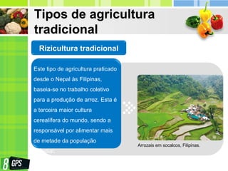 Tipos de agricultura
tradicional
Este tipo de agricultura praticado
desde o Nepal às Filipinas,
baseia-se no trabalho coletivo
para a produção de arroz. Esta é
a terceira maior cultura
cerealífera do mundo, sendo a
responsável por alimentar mais
de metade da população
mundial.
Rizicultura tradicional
Arrozais em socalcos, Filipinas.
 