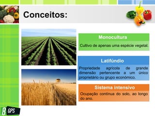 Conceitos:
Cultivo de apenas uma espécie vegetal.
Monocultura
Propriedade agrícola de grande
dimensão pertencente a um único
proprietário ou grupo económico.
Latifúndio
Ocupação contínua do solo, ao longo
do ano.
Sistema intensivo
 