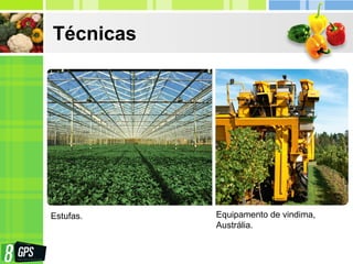 Técnicas
Estufas. Equipamento de vindima,
Austrália.
 