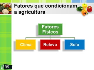 Fatores que condicionam
a agricultura
Fatores
Físicos
Clima Relevo Solo
 