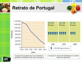 Retrato de Portugal
Evolução da população ativa com profissão na
agricultura, produção animal, caça e silvicultura.
Evolução do número de trabalhadores e da idade
média dos agricultores.
 