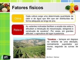 Fatores físicos
*SocalcosSocalcos – terraços em degraus
na vertente de uma elevação,
normalmente suportados por
muros, seguindo as curvas de
nível.
Cada cultura exige uma determinada quantidade de
calor e de água que têm que ser distribuídas de
forma adequada ao longo do ano.
Clima
As vertentes inclinadas facilitam a erosão dos solos e
dificultam a introdução de mecanização, obrigando à
construção de socalcos*. Por vezes, em grandes
altitudes, a agricultura dá lugar à pastorícia.
Relevo
Alto Douro - Sabrosa
 