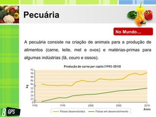 Pecuária
No Mundo…
A pecuária consiste na criação de animais para a produção de
alimentos (carne, leite, mel e ovos) e matérias-primas para
algumas indústrias (lã, couro e ossos).
 