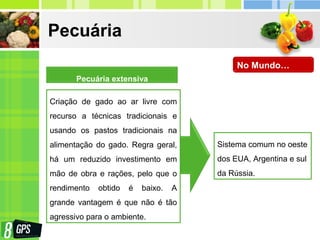 Pecuária
Pecuária extensiva
Criação de gado ao ar livre com
recurso a técnicas tradicionais e
usando os pastos tradicionais na
alimentação do gado. Regra geral,
há um reduzido investimento em
mão de obra e rações, pelo que o
rendimento obtido é baixo. A
grande vantagem é que não é tão
agressivo para o ambiente.
Sistema comum no oeste
dos EUA, Argentina e sul
da Rússia.
No Mundo…
 